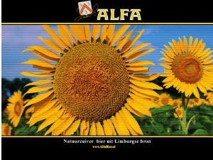 Alfa_Bier1.thumb.jpg.58636e3e5ac503a332353a04b8d274a5.jpg
