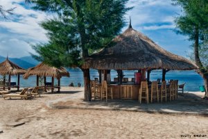 BeachBar2.thumb.jpg.2fb01ab8c0c628f07cd7a88ee64a8a42.jpg