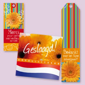 Cadeaukaartjes.thumb.jpg.c2b3b88dd858b1862653b859e6683237.jpg