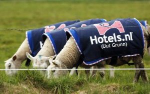 Reclameschapen.thumb.jpg.9c1f1cd237d5b7d75c0be117b0801efc.jpg