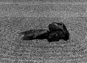 Zen-Garden.thumb.jpg.1ef0ad26abe1ba2c1521eef30fe003f5.jpg