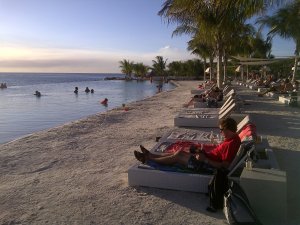curacau_1.thumb.jpg.69283fac929e6620a0d8b0125f440498.jpg
