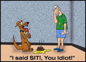dogslife.thumb.jpg.c82ac95b0957340f08a3e56893e79a51.jpg