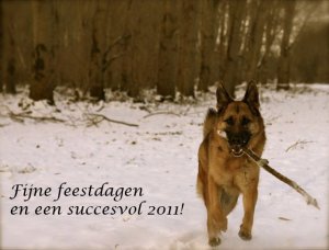 happy2011.thumb.jpg.07d453cd2c8ea45ba3914f202bbd78ac.jpg