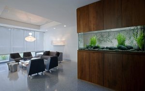 kantoor_aquarium_zoet.thumb.jpg.f9c3e814f445d8bafd009bcbb0fea8ee.jpg