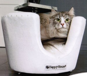 kattenstoeltje-01.thumb.jpg.6513c1b1993cbcb7ff9db4fc1528ee9e.jpg