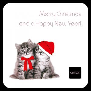 kerstkaart_lr.thumb.jpg.153358f5ad6d956bf801832454f9d608.jpg