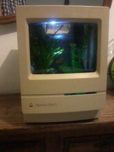 mac.thumb.jpg.350cf85937c90e717315e494362252de.jpg