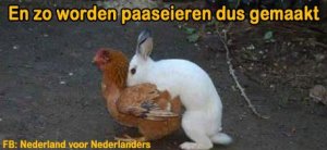 paaseieren.thumb.jpg.1f4bb71efd8457d16dee0d7b999d609c.jpg