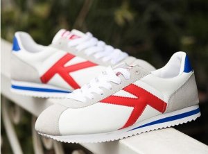 shoes.thumb.jpg.83a7797cb0ced8aea9f1952592546cef.jpg