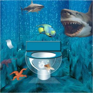 zee-wc.thumb.jpg.f3ed6a985978d7bd4b1c2add19c151eb.jpg