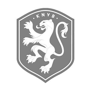 Leeuw.jpg
