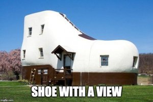 shoe_with_a_view.jpg