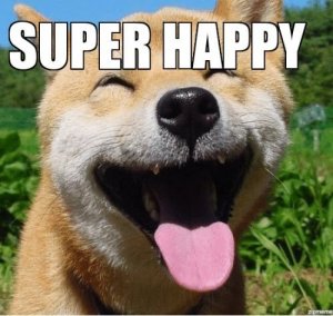 yellow-octopus-happy-meme-23.jpg