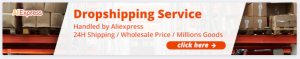 AliExpress Dropshipper Dashboard.png