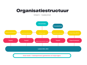Organisatiestructuur binnenkort.png
