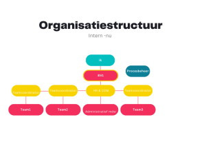organisatiestructuur nu (bv1).png